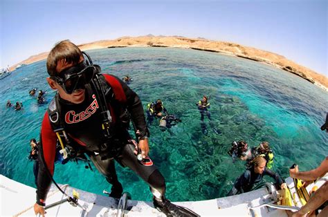 diving holidays in the red sea